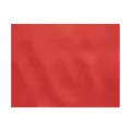 Set de table TNT 40 x 30 cm / 65g ROUGE